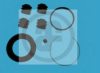 AUTOFREN SEINSA D4231 Repair Kit, brake caliper